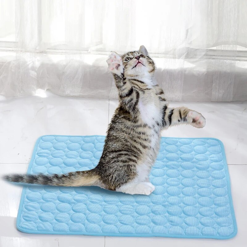 สัตว์เลี้ยงเสื่อน้ําแข็งฤดูร้อ - Cooling Blanket Hot Sleepers บทวิจารณ์และราคา