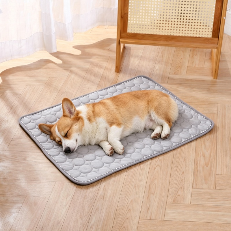 แผ่นรองนอนเย็นสำหรับสัตว์เลี้ย - Cooling Blanket Hot Sleepers บทวิจารณ์และราคา